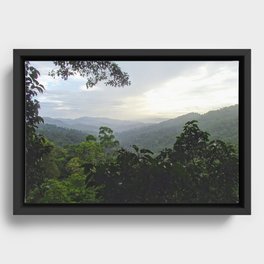 Loas Jungle Framed Canvas