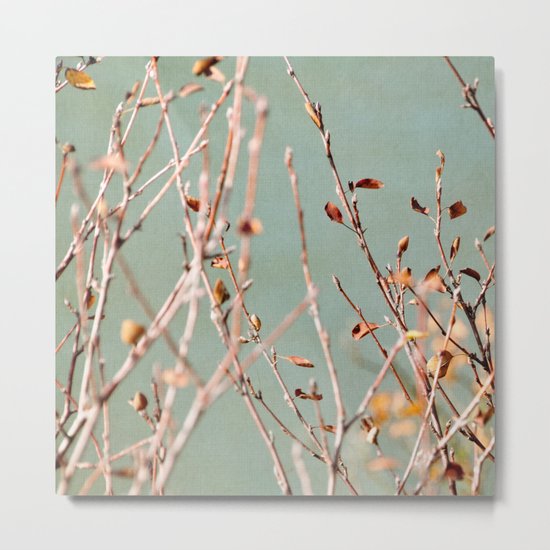 autumn twigs Metal Print