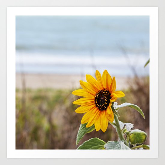 Sunflower near ocean Art Print