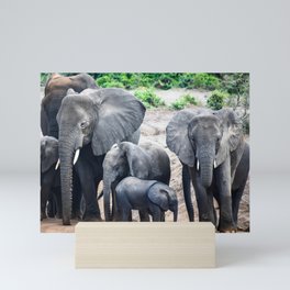 Group of Elephants Mini Art Print