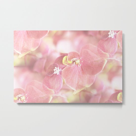 Some Soft Pink Flowers Metal Print