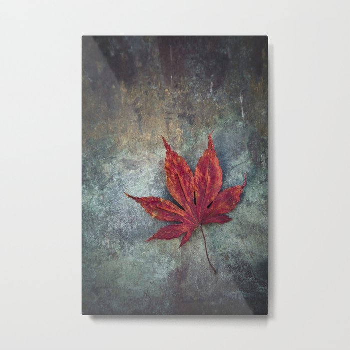 Maple leaf Metal Print