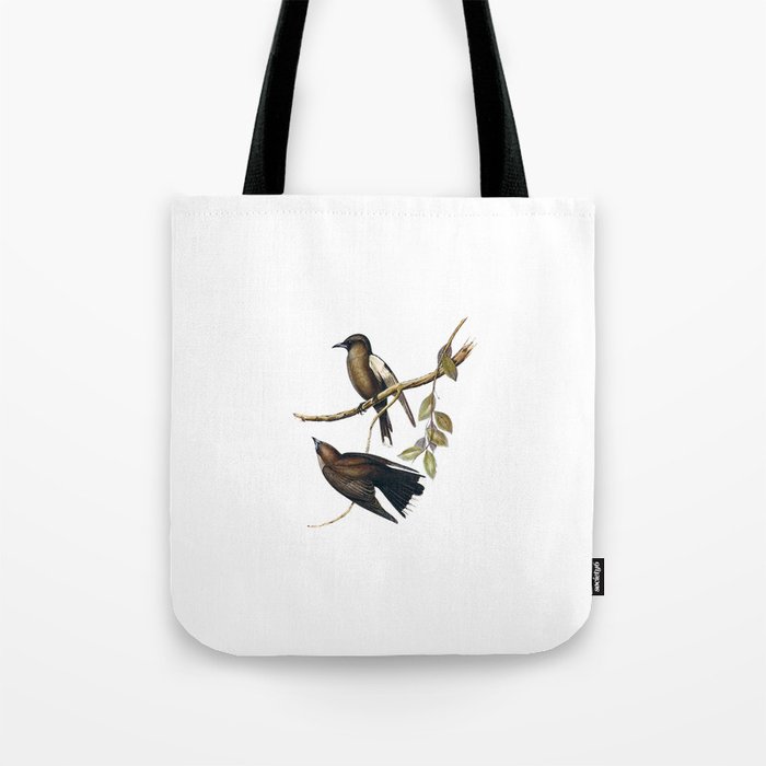 Vintage Grey Breasted Wood Swallow Bird Illustration Tote Bag