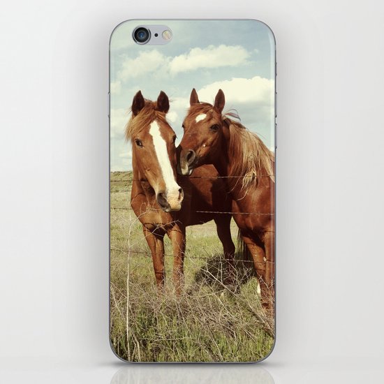 Horse Affection iPhone & iPod Skin