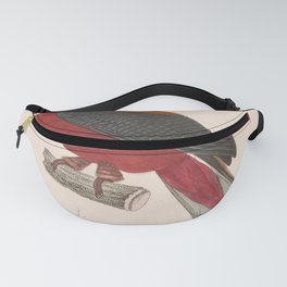 Vintage Print - New Collection of Colored Bird Plates (1838) - Malabar Trogon Fanny Pack