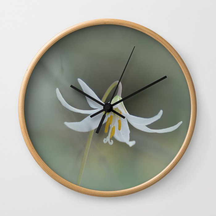 White Trout Lily in the Forest Wall Clock