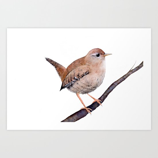 Wren, Bird, Brown Bird Watercolor Painting by Suisai Genki Art Print
