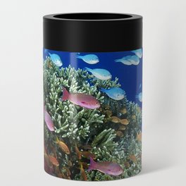 porcupine fish Can Cooler