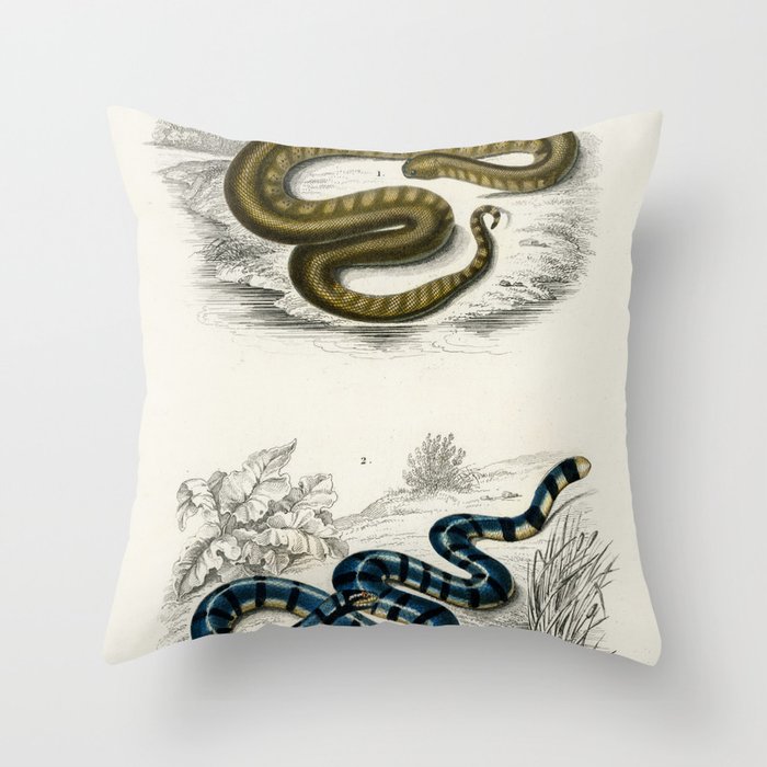 Elephant Trunk Snake & Columbrine Sea Krait Throw Pillow