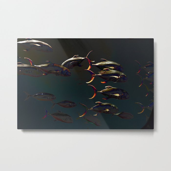 Fish - Underwater Metal Print