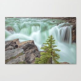 Falls Canvas Print