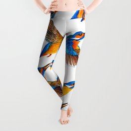 Flying Kingfishers | Yellow and Blue Color Palette Leggings