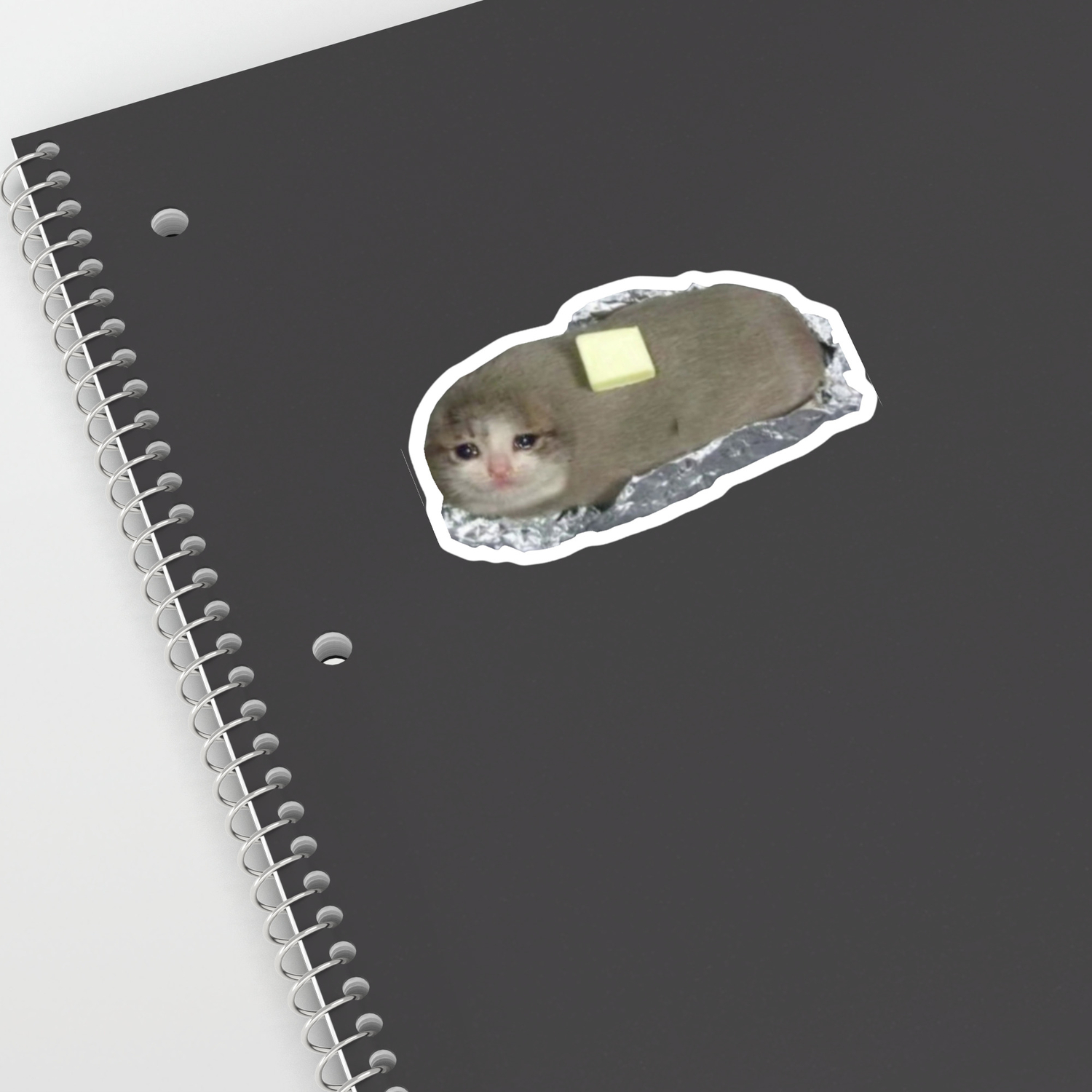 sad potato cat with butter