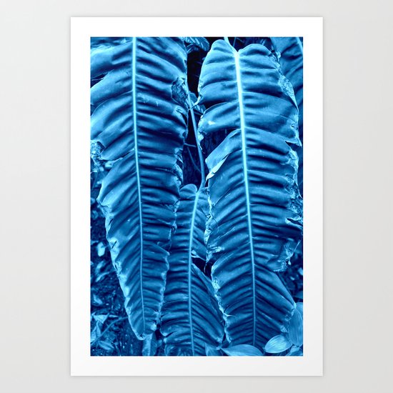 blue rainforest Art Print