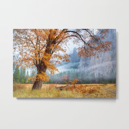Autumn Oak In Yosemite Metal Print | Photo, Yosemitevalley, Fallcolors, Yosemiteautumn, Nationalpark, Parkprint, Wispy, Stayathome, Autumntree, Meadow 