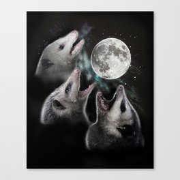 3 opossum moon Canvas Print
