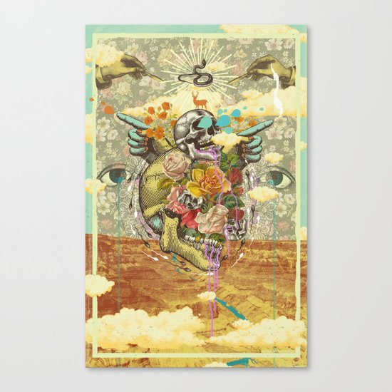 CANYON VISIONS Canvas Print