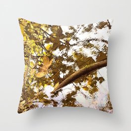 Autumn leaves on water, water, autumn, fall, leaves, summer, beach, stream, tree, exotic, tan Throw Pillow