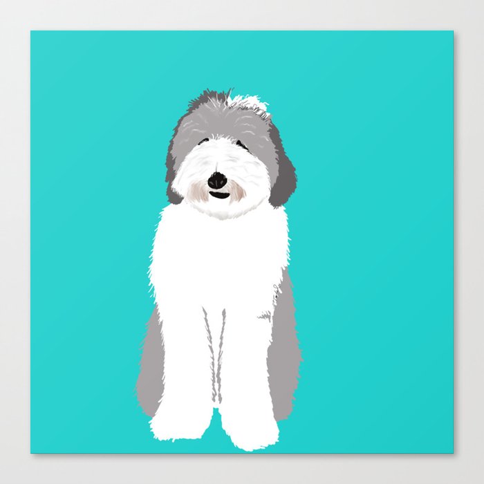 Lucy The Sheepadoodle Canvas Print | Drawing, Digital, Sheepadoodle, Dog, Fluffy-dog, White-dog, Gray-and-white-dog, Teal-background, Dog-gifts, Puppy