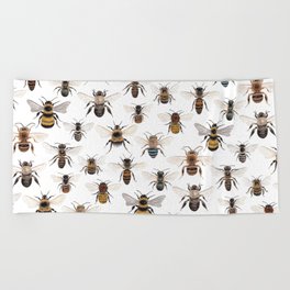 A Collection of Native Bees Beach Towel