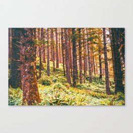 Pnw Forest | Nature Photography in Oregon Canvas Print