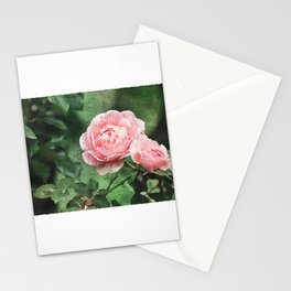 Pink Roses Stationery Cards