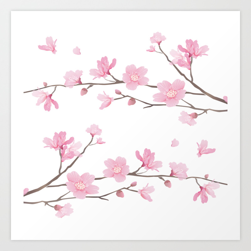 Square Cherry Blossom Transparent Background Art Print By Designenrich Society6
