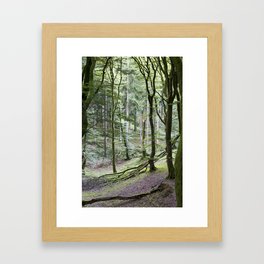 Trees - Rold Skov Gerahmter Kunstdruck