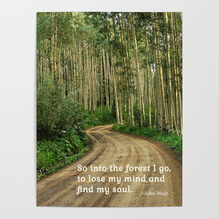 Into the Woods I Go To Find My Soul Poster
