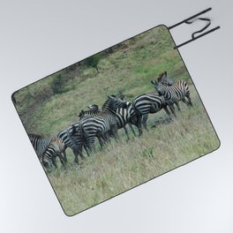 Wild Zebras Grazing, Omo river valley, Ethiopia, Africa Picnic Blanket