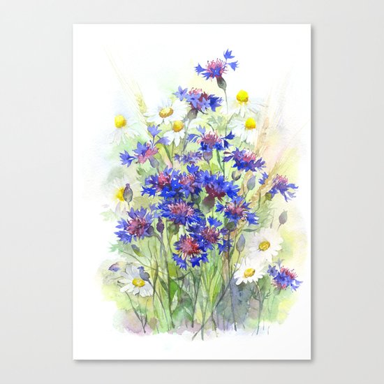 Meadow watercolor flowers with cornflowers Canvas Print