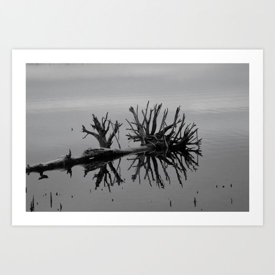 Image in Black and White Art Print