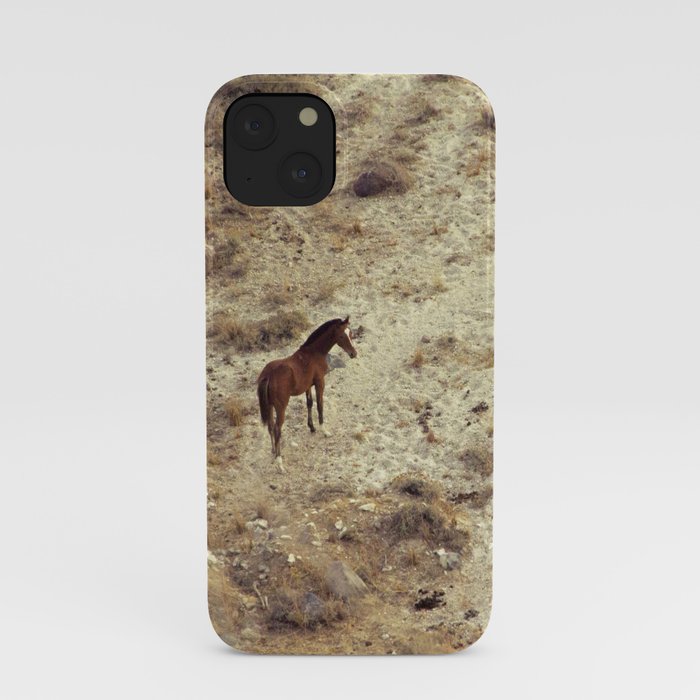 Horse in Santorini iPhone Case