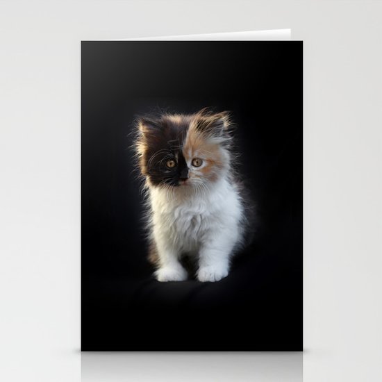 Cutest Kitten Ever Stationery Cards