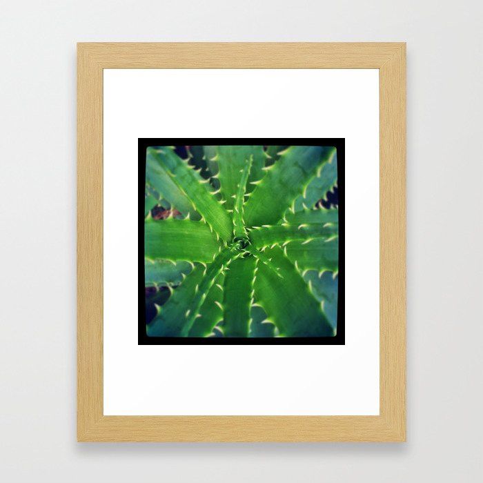 Green Aloe Framed Art Print