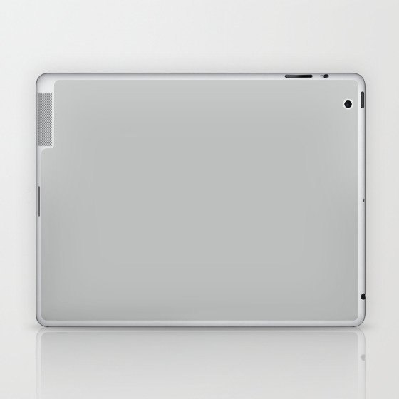 Silken Gray Laptop & iPad Skin
