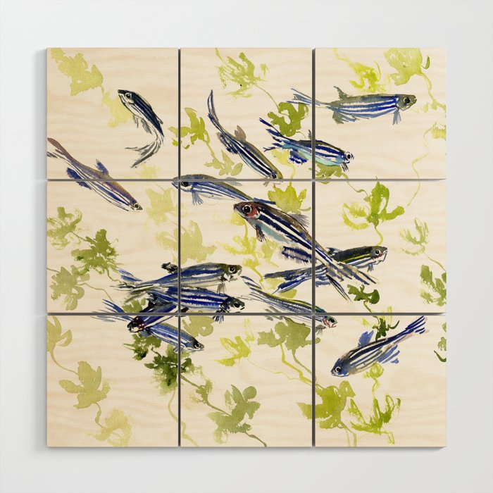 Fish Blue green fish design zebra fish, Danio aquarium Aquatic design