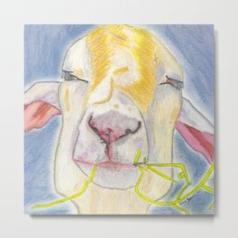 Percival a Fun Adorable Mixed Media Goat Chewing Straw Drawing Metal Print | Spring, Sheep, Colored Pencil, Agriculture, Handdrawn, Mammal, Drawing, Graphite, Livestock, Animal 