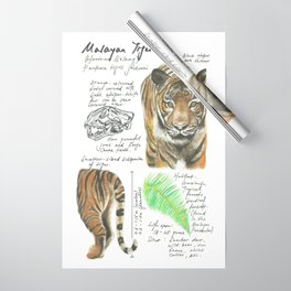 Nature Study: Malayan Tiger Wrapping Paper