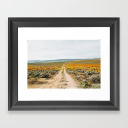 Road Less Traveled Framed Art Print