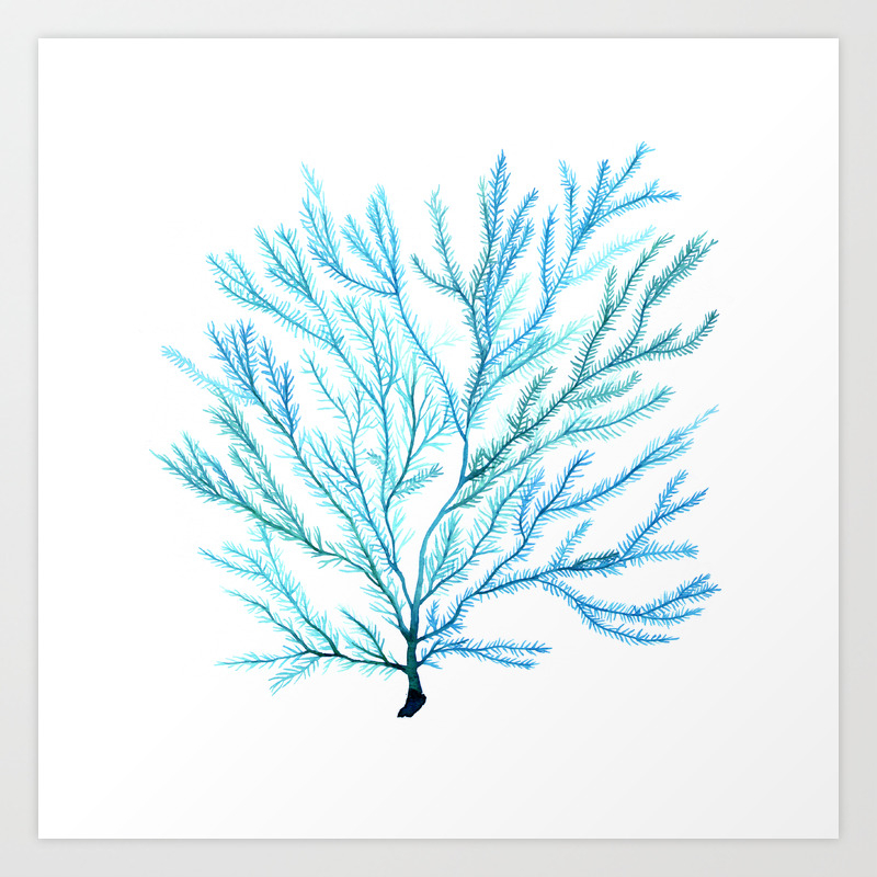 Blue Coral Seafan Art Print By Sandraovono Society6
