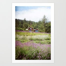 Lavender Farm on Film Art Print