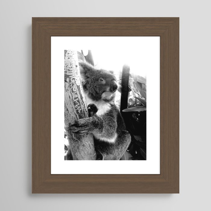 Koala art print 8x10