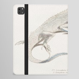 Macgregor's Lyre Headed Lizard & Stoddart's Unicorn Lizard iPad Folio Case