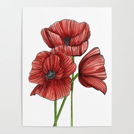 Red Poppy Watercolor Poster