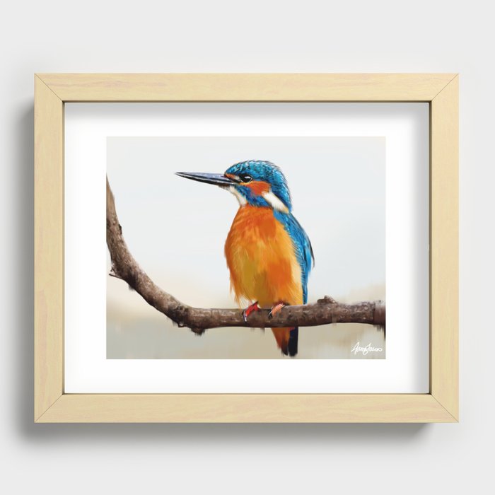 Common Kingfisher Recessed Framed Print
