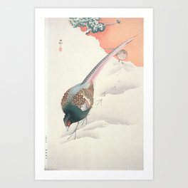 Pair of Pheasants in Snow Art Print