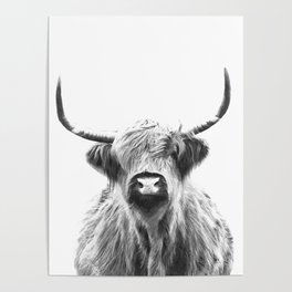 Black and White Highland Cow Portrait Poster