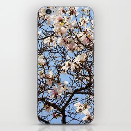 Pattern of magnolia branches | Spring floral background iPhone Skin