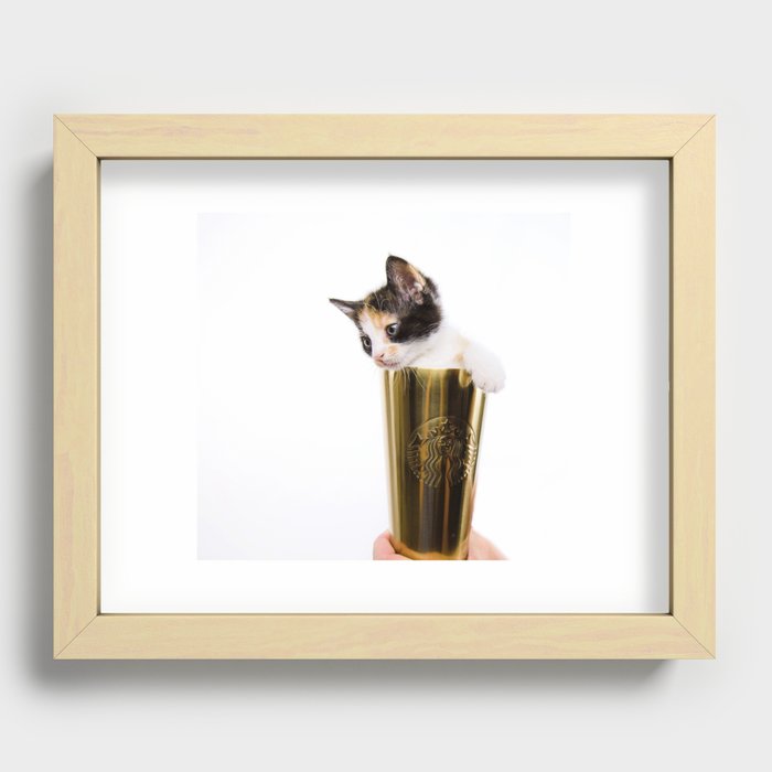 Kitten In A Starbucks Cup Recessed Framed Print